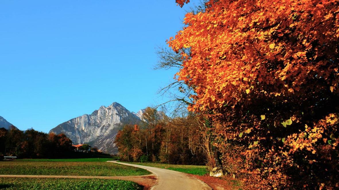 B&B Col Del Vin Belluno Dış mekan fotoğraf