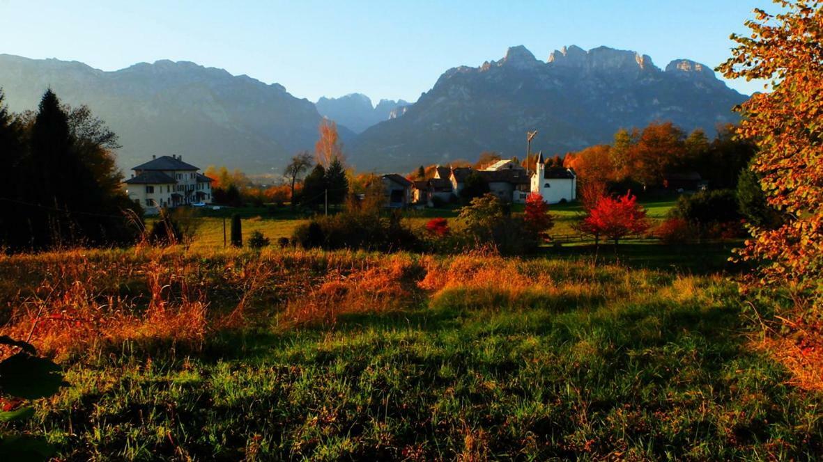 B&B Col Del Vin Belluno Dış mekan fotoğraf