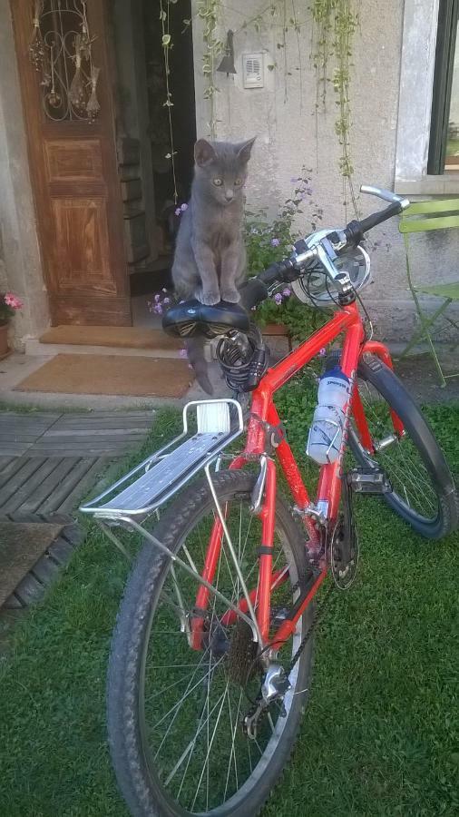 B&B Col Del Vin Belluno Dış mekan fotoğraf