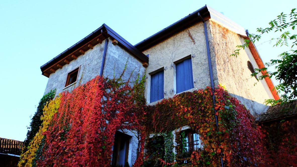 B&B Col Del Vin Belluno Dış mekan fotoğraf