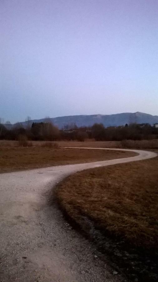 B&B Col Del Vin Belluno Dış mekan fotoğraf