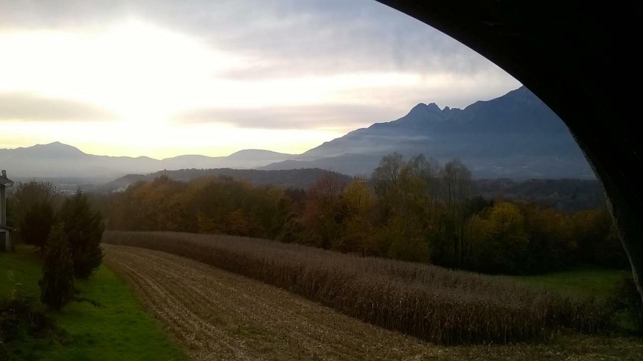 B&B Col Del Vin Belluno Dış mekan fotoğraf