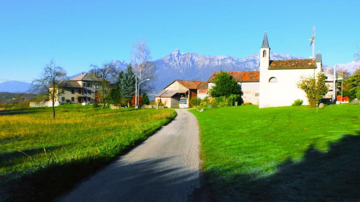 B&B Col Del Vin Belluno Dış mekan fotoğraf
