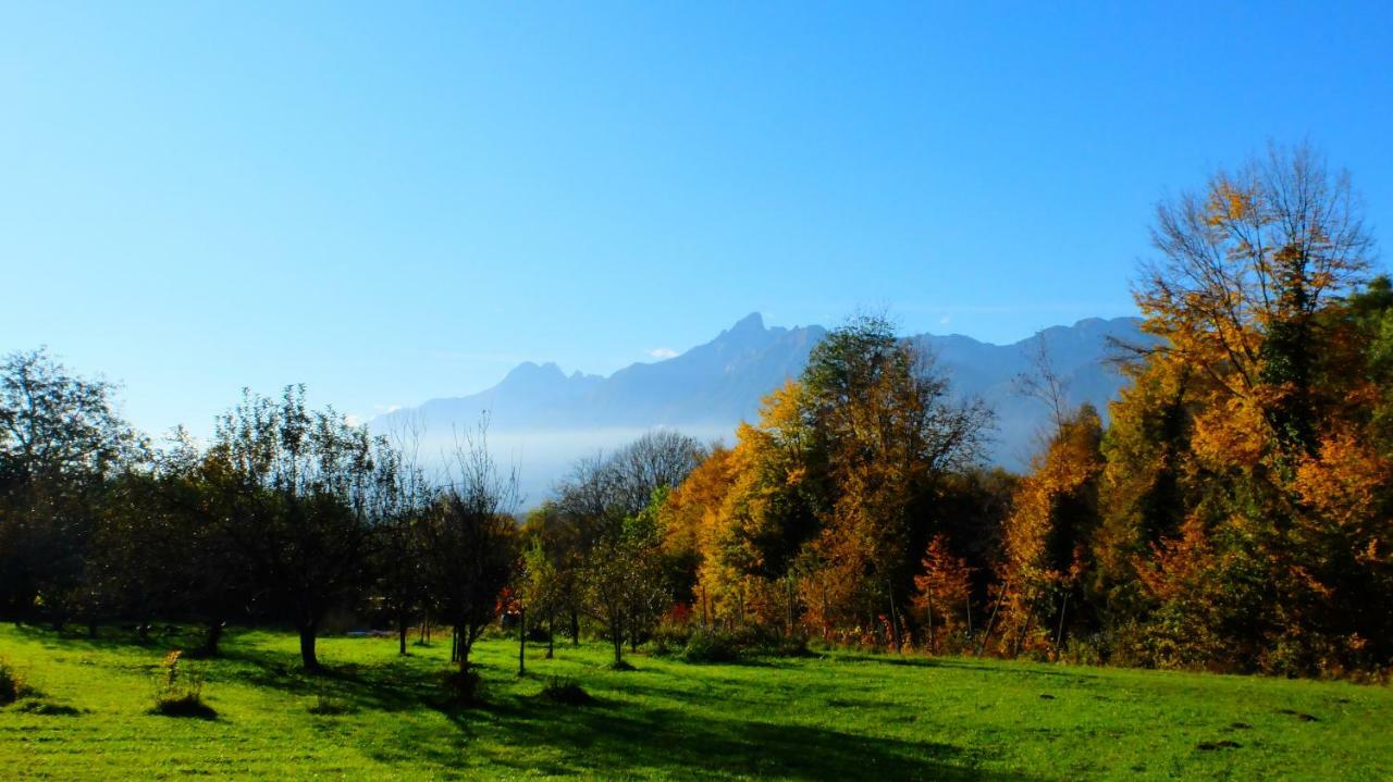 B&B Col Del Vin Belluno Dış mekan fotoğraf